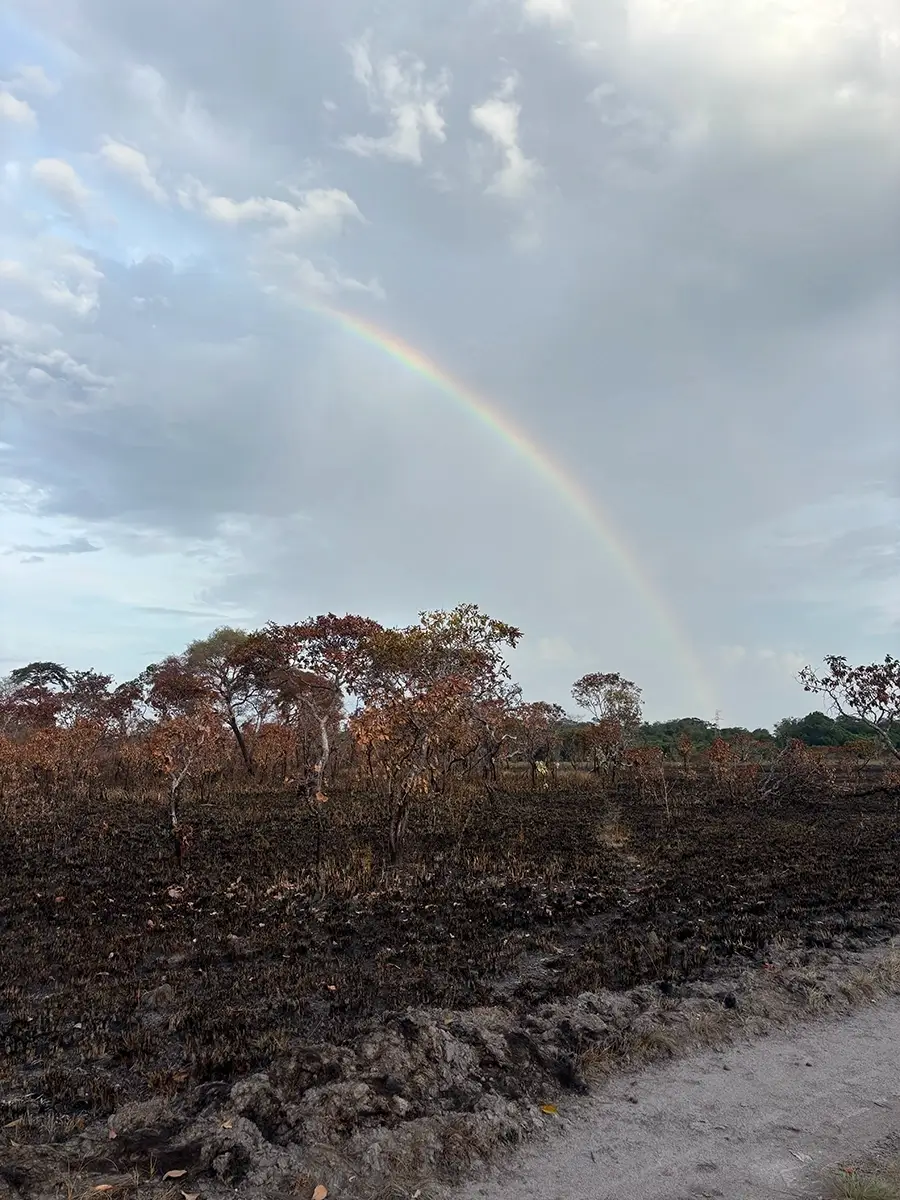 marajo-sem-fumaca-01